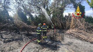 In fiamme 300 metri quadrati di vegetazione, intervengono i vigili del fuoco